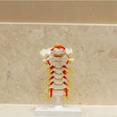 양곡한의원 이미지