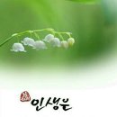 도랑가