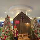 메종글래드제주호텔 | 제주 메종글래드 호텔 후기, 공항근처 10만원대 가성비 숙소 (반려견 동반 가능)