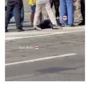 진재일: 우구라전에 대해 실토하기 시작한 서방 언론 일각 이미지