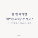 하루두피 판교점 이미지