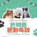 견생폼사 이미지