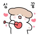 피어라헤어 이미지