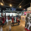 하운드짐 이미지