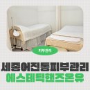 어진동제3주차장옆 | 어진동 피부관리 아쿠아필 피지관리 받기