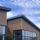 뮤즈 하우스 | W7💍) 천안 하우스제이 스튜디오 뮤즈앤코 웨딩촬영 드레스 피팅 후기