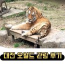 조삼만농장 | 대전 오월드 동물원 플라워랜드 다녀온 후기 요금 제휴카드 정리