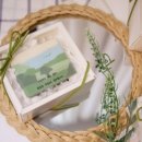 다둥 반려견 호텔 유치원 이미지