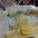 해성어린이집 이미지