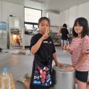 보라매동-13 이미지