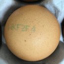 호암농장 이미지