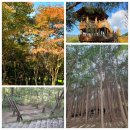 수만리 생태숲공원 | 화순 만연산지구 수만리 생태숲공원, 산책 맛집