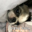 소사방앗간 이미지