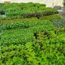 강릉농자재마트 이미지