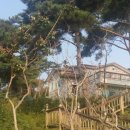 청솔(둘레길펜션) 이미지