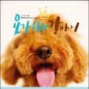 잘나가는 강아지 이미지