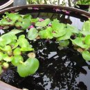 거창해뜨락펜션 이미지