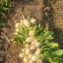 우환농장 이미지