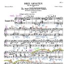 소나타음악학원 이미지