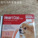 양지가축동물병원 | 경기광주 근처동물병원 양지가축동물병원 24시동물병원