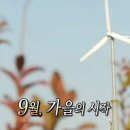 일광사 | [을지로4가] 직장인 퇴근 후 소주 코스 일광사, 진주육회 4호점 내돈내산 후기