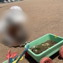 [영종도 이색체험]바다가는달 왕산해수욕장 요트 해변피크닉 당일치기 여행 후기