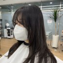 에이린헤어 이미지