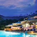 포레스트 리솜 이미지