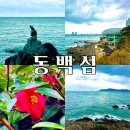 간곡해수욕장 | 부산 해운대 여행 동백섬 산책