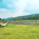 제로나인스테이 이미지