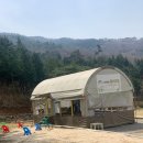 이야기가 쏙 놀이가 쑥(6세, 2019년생) | 보성 윤제림 아치하우스 11번 1박2일 ft 11번 대만족 후기