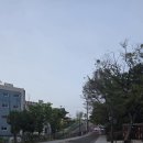 세븐일레븐 수성로데오점 | 대구 아이와 가볼만한곳 수성구 어린이세상 야외...저녁 나들이 &amp; 숲놀이터 후기 (주차꿀팁/음수대 정보)