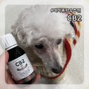 엔도펫 | 강아지 햄프씨드 오일 CB2 대마종자유추천