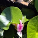 청송한우마을 이미지