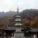 하슬라에코 이미지