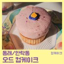 오드컵케이크 이미지