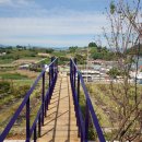 오차드 123 이미지