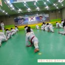 용인대 힘찬 태권도장 이미지