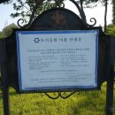 도안문화공원 풋살장 네이버블로그