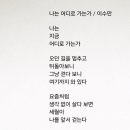 첫째 Daum카페