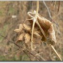 신연수역 이미지