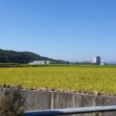 지에스메딕스 이미지