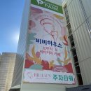비비하우스