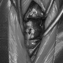 바미메디칼 이미지