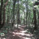 서귀포자연휴양림1 이미지