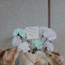 냥냥쌀롱 이미지