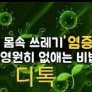 힐링비만
