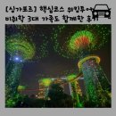 랜드마크약국 | [싱가포르] 3대 가족 워킹투어 내돈내산 양미연 가이드와 함께한 랜드마크 야경 투어 후기