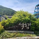 석항트레인스테이