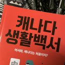 제이슨잉글리쉬플레이그라운드어학원 | [캐나다 어학연수] 밴쿠버 ILSC를 선택하게 된 과정 및 학교 후기!